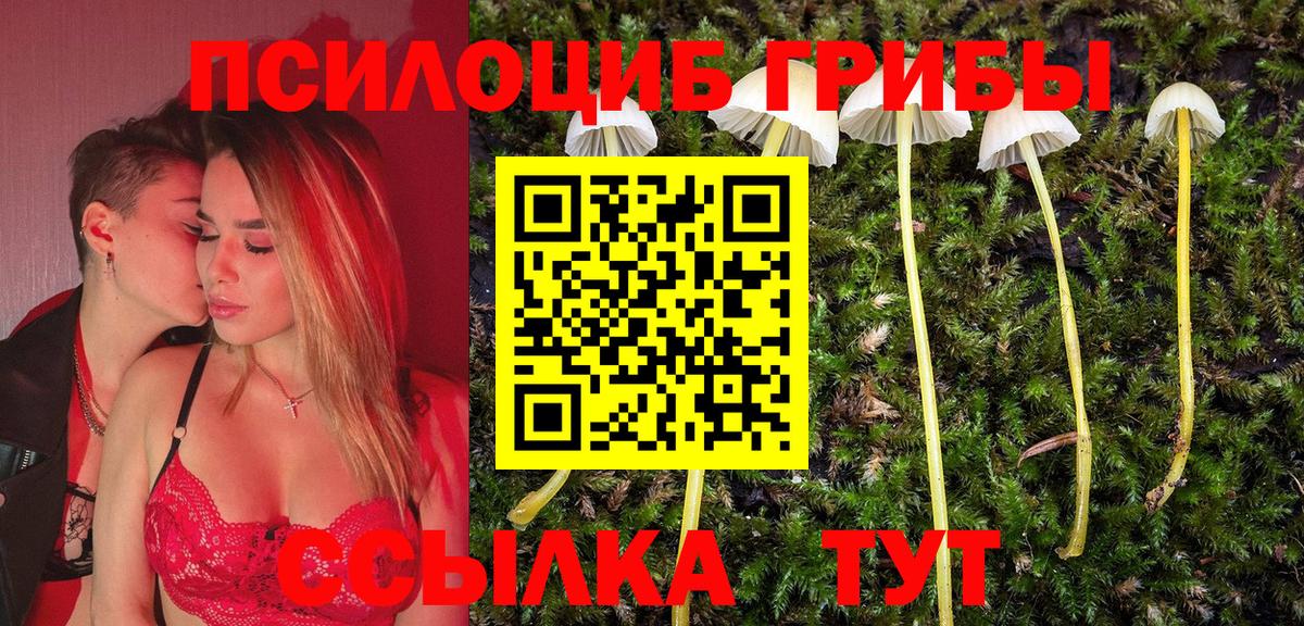 Псилоцибиновые грибы Magic Shrooms Обнинск
